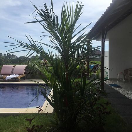 Pererenan Nengah Guest House Чангу Экстерьер фото