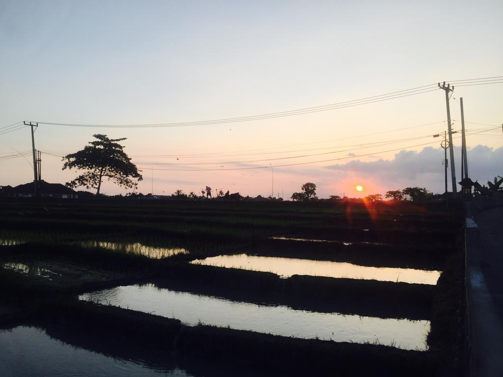 Pererenan Nengah Guest House Чангу Экстерьер фото